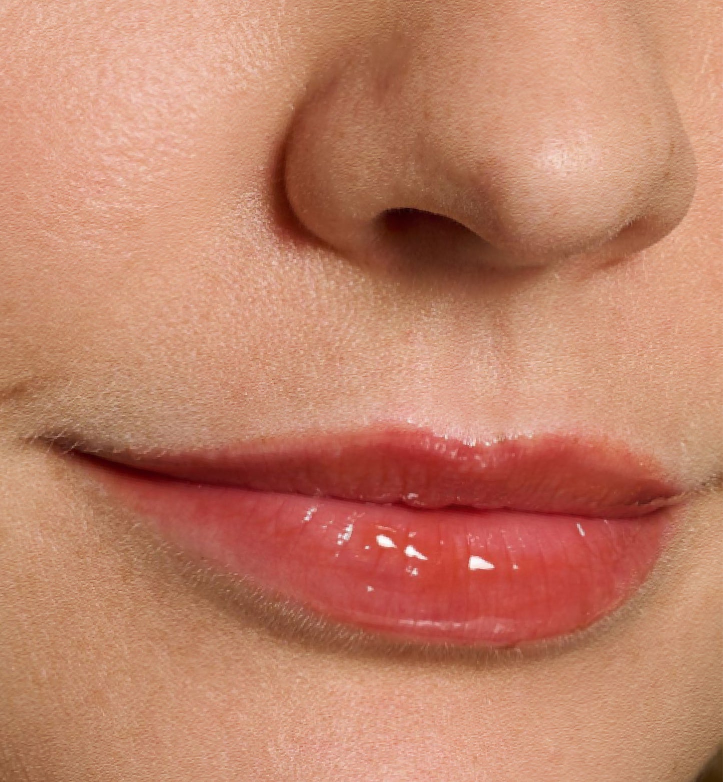 Hailey Brown Lip Gloss