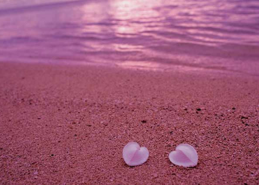 Currently Drooling Over These Five Pink Beaches