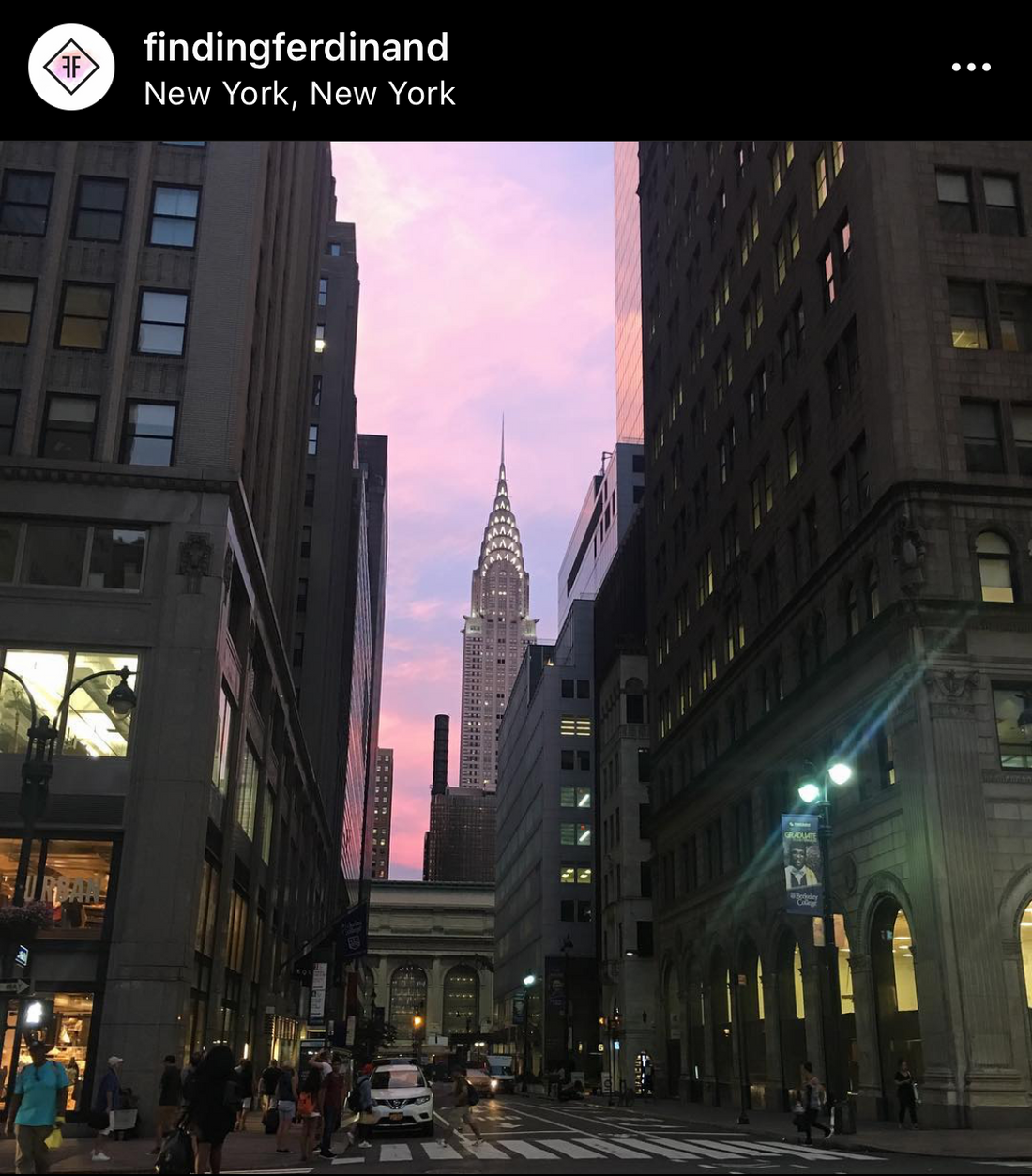 We Love New York City
